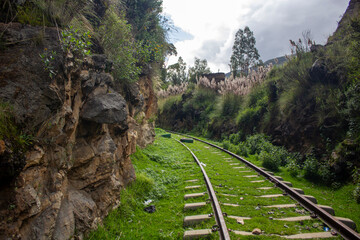 Obraz premium rieles del tren de huancavelica a huancayo abandonadas y llenas de basura