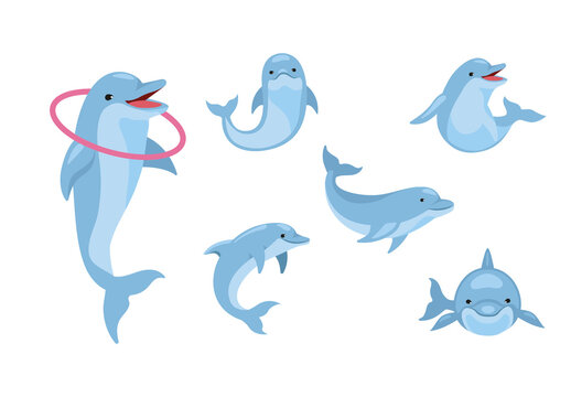 Blue And White Dolphin Ocean Marine Cartoon Sea Illustrations Set