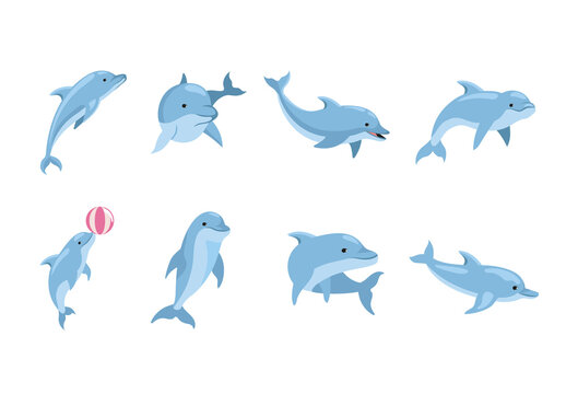 Blue And Pink Dolphin Marine Ocean Sea Animals Illustrations Set