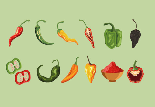Colorful Chili Spicy Vegetable Pepper Food Illustrations Set