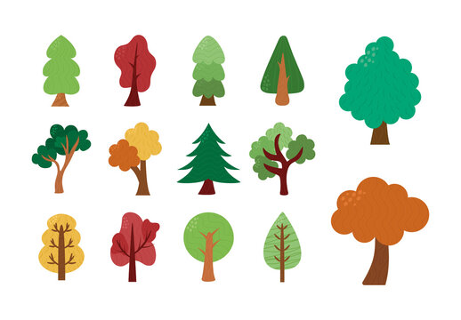 Colorful Trees Nature Forest Plants Illustrations Set