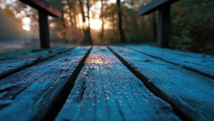 Wooden bridge planks covered in frost at sunrise