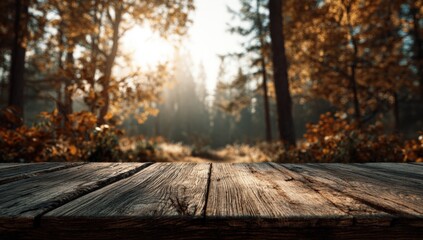 Autumn forest scene with wooden table (1)