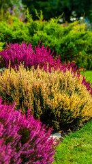 Obraz premium Vibrant garden with pink and yellow flowers