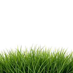 Obraz premium green grass png, fresh grass png, realistic grass png, natural grass png, summer grass png, spring grass png, lush grass png, bright green grass png, detailed grass png, high quality grass png