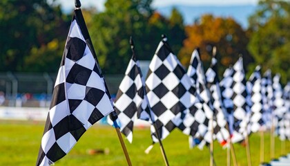 Row of checkered racing flags on poles along grassy field with autumn trees and racetrack fencing in background