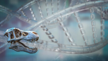 The T rex Skull for Education or sci concept 3d Rendering. © niphon