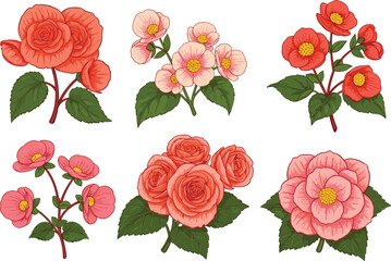 Red orange roses, pink blossoms, peach flowers, botanical illustration set, floral clipart, garden blooms, decorative plant art, spring summer nature design vector