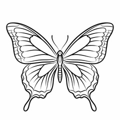 Elegant black and white line drawing of a butterfly, showcasing intricate wing details.