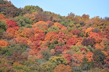 autumn in the mountains