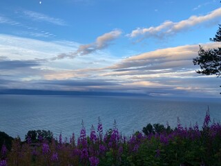 The Ocean Viewed by Fireweed