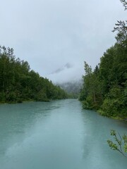 The Endless Wooded River