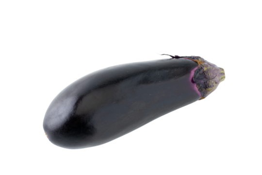 透明背景（png）に1個のナス