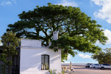 Uruguay, colonial streets of Colonia Del Sacramento in historic center of Barrio Historico