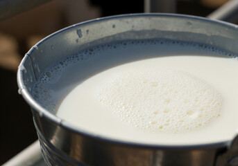 A bucket of fresh dairy milk.