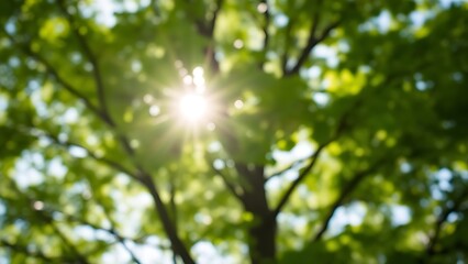 Obraz premium Sunlight filters through green foliage, creating a dreamy bokeh effect against the sky in this serene natural scene.