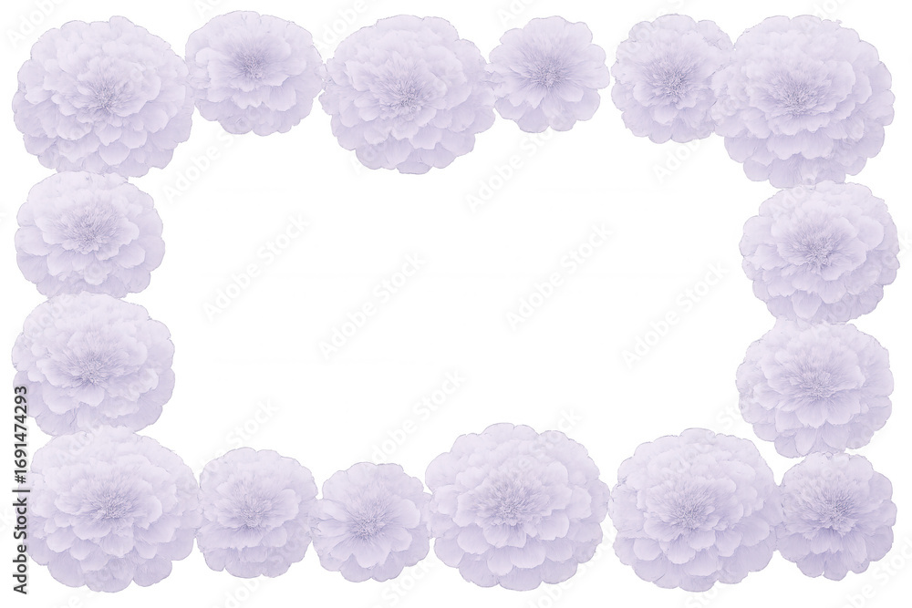 Poster purple flowers forming a rectangular frame on a transparent background, perfect for adding a touch o