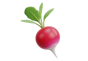 A Vibrant 3D Render of a Fresh Radish with Lush Green Leaves Against a Transparent Backdrop, Perfect for Food Illustrations and Healthy Eating Concepts in Digital Art