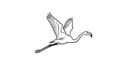 Fototapeta premium Elegant Flamingo in Flight, Graceful Bird with Extended Wings and Legs