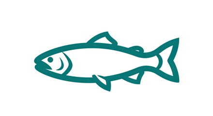 Fototapeta premium Simple outline fish illustration