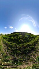 Panoramic view of a grassy hill under a bright sky