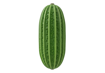 Detailed 3D Render of a Green Bitter Melon, Showing its Bumpy Texture and Elongated Shape, Set Against a Transparent Background for Versatile Design Applications