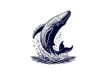 Humpback Whale Hand Drawn Engraved Sketch Vector Illustration by AZ for Books, Arts, Design and Decoration Graphic Asset