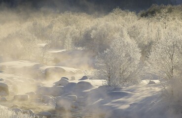 霧氷 雪国の朝