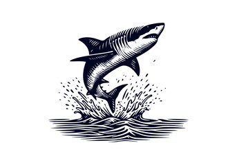 Naklejka premium Great White Shark Hand Drawn Engraved Sketch Vector Illustration by AZ for Books, Arts, Design and Decoration Graphic Asset