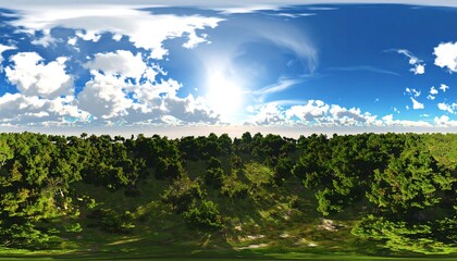 Panoramic view of a lush forest landscape under a vibrant sky