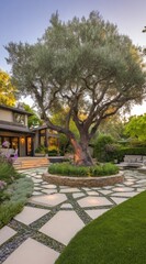 A landscaped patio area with a large olive tree, illuminated pathways, and a circular stone arrangement.