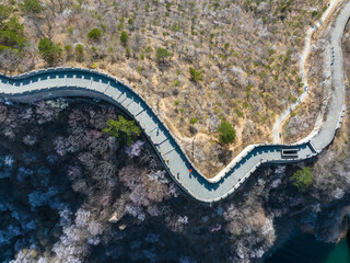 The Great Wall in spring, the mountains are full of flowers, the Great Wall and the lake