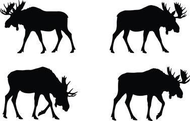 Moose silhouette collection, wild animal walking and grazing vector set, forest wildlife shadow illustration, hunting design, elk deer shapes
