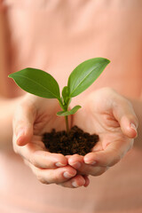 Tender Care A Person's Hands Gently Cradle a Sprout Emerging from Soil Symbolizing Growth Hope and Environmental Stewardship Against a Soft Peach Background