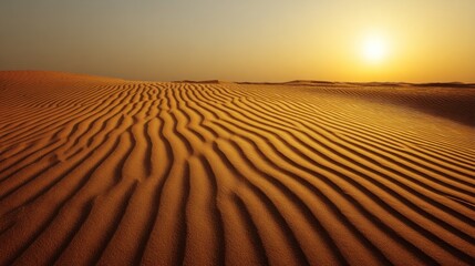 Naklejka premium Desert sand dunes at sunset