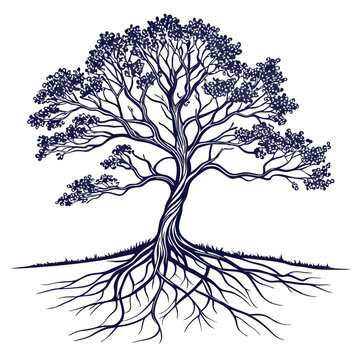 Detailed illustration of a majestic tree with intricate roots and branches.