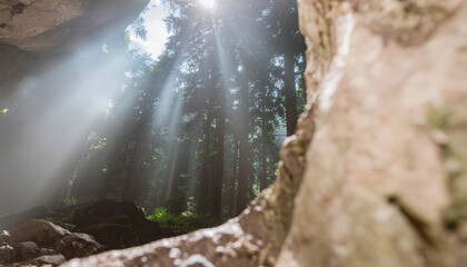 A stunning view of a forest from inside a cave opening. Sunbeams filter through the trees, creating a mystical and ethereal glow on the forest floor.