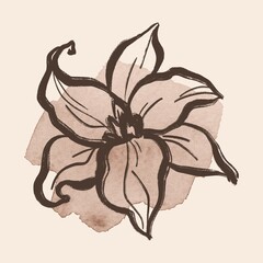 Aesthetic flower illustration, line art, brushstroke design