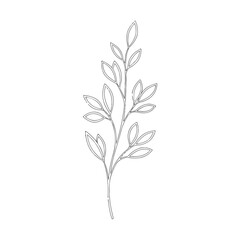Elegant Line Drawing of a Sprig.