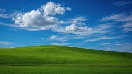 Fototapeta premium Green field under blue sky