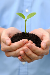 Hands Gently Holding a Young Plant Sprout with Soil, Representing New Beginnings, Growth, and the Importance of Nurturing Life for a Sustainable World