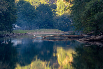 Tranquil River Scene with Reflections and Fallen Logs at Sutton Lake, West Virginia