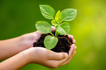 Tender Cultivation A Gentle Handful of Earth Nurturing New Life and Growth with Care and Environmental Consciousness for a Sustainable Future and Flourishing Ecosystem