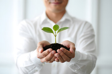 Cultivating Potential A Person's Hands Tenderly Cradle a Young Sprout Emerging from Soil Symbolizing Growth, Opportunity, and Environmental Responsibility in a Clean Setting
