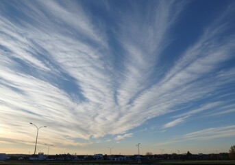 Obraz premium cirrus