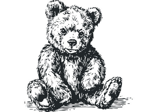 Black and white graphic of a sitting teddy bear in format on a transparent background. Vector hand drawn illustration