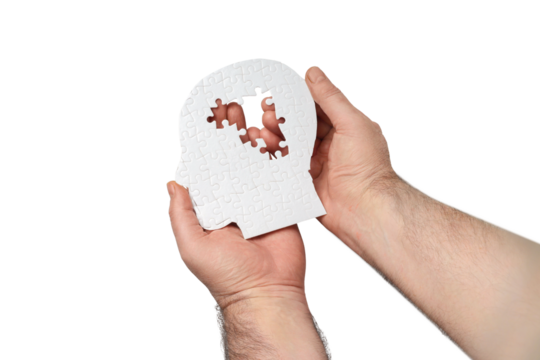 Hands hold a skull-shaped puzzle, isolated on white, PNG