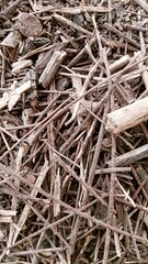 close up of a pile of nails