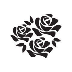 black and white rose