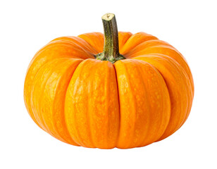 Obraz premium Pumpkin isolated on white background 